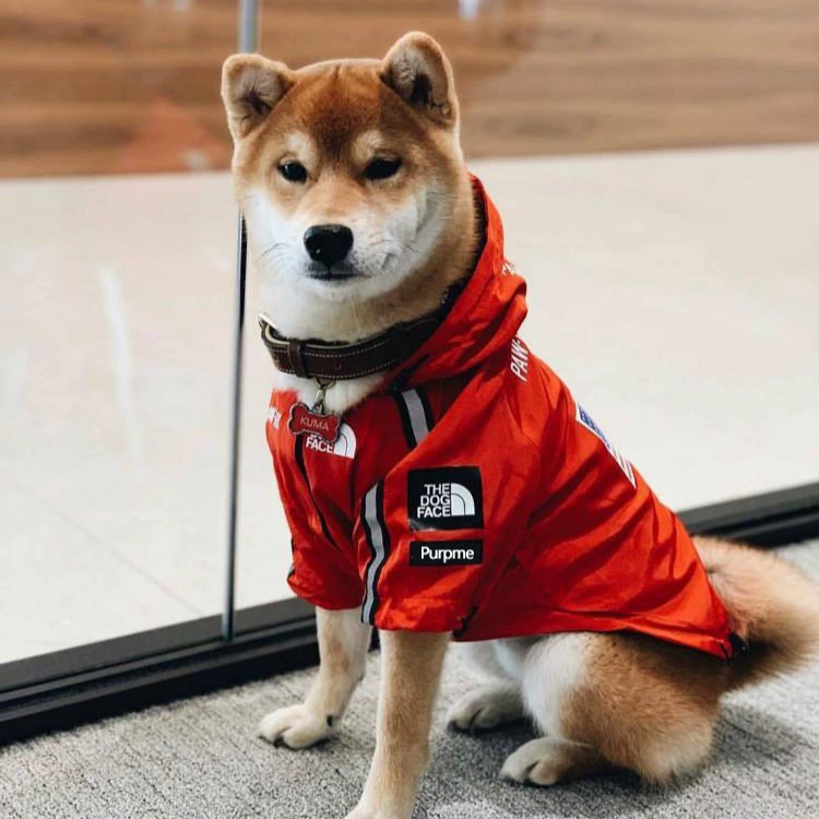 Домашние животные Одежда для собак Штурмовая куртка ветрозащитный и дождевой полиэстер теплая собака