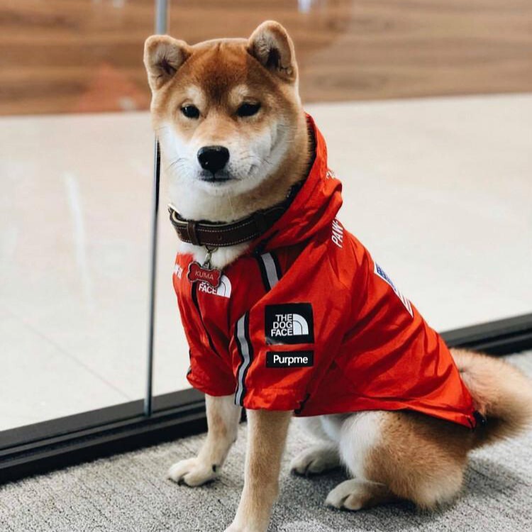 Pet Clothes Dog Rush Clothes Windproof Rainproof Polyester Warm Dog North Face Dog Face Raincoat Dog