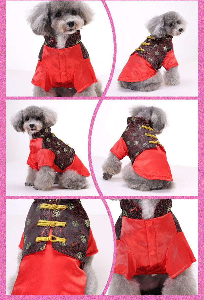 Pet Clothes Festive Dog And Cat New Year Outfits Tang Suit For Spring Autumn Warm Thick Cotton Coat For Pets_voghion.com