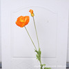 Wedding Simulation Silk Poppy Poppy 4 heads of Radians Silk Flower Simulation Poppy Poppy Flower Decoration Flower Background Soft Flow