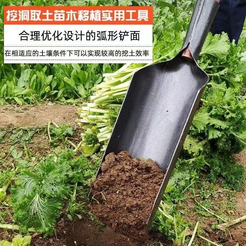 微信图片_202504160911581.jpg