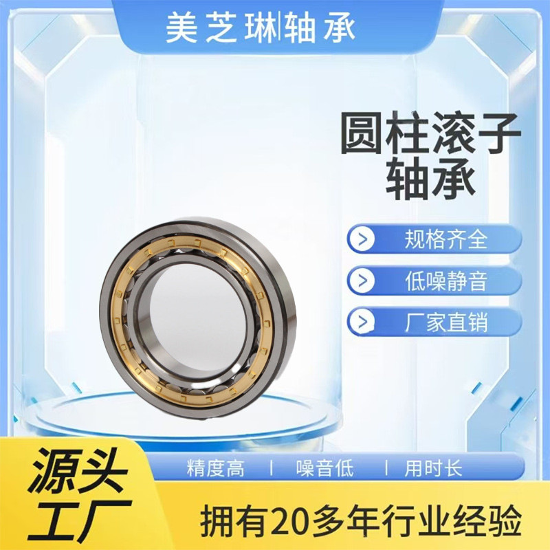 高精密二类圆柱滚子轴承NJ1004EM NJ2311EM非标轴承