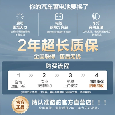 Hongguang S, Civic, Qashqai, Nissan – Car battery/battery