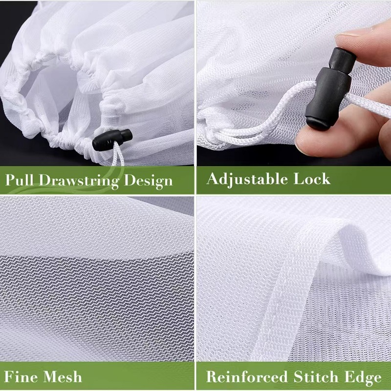 dfc269cad0270ad158476eee9adeae