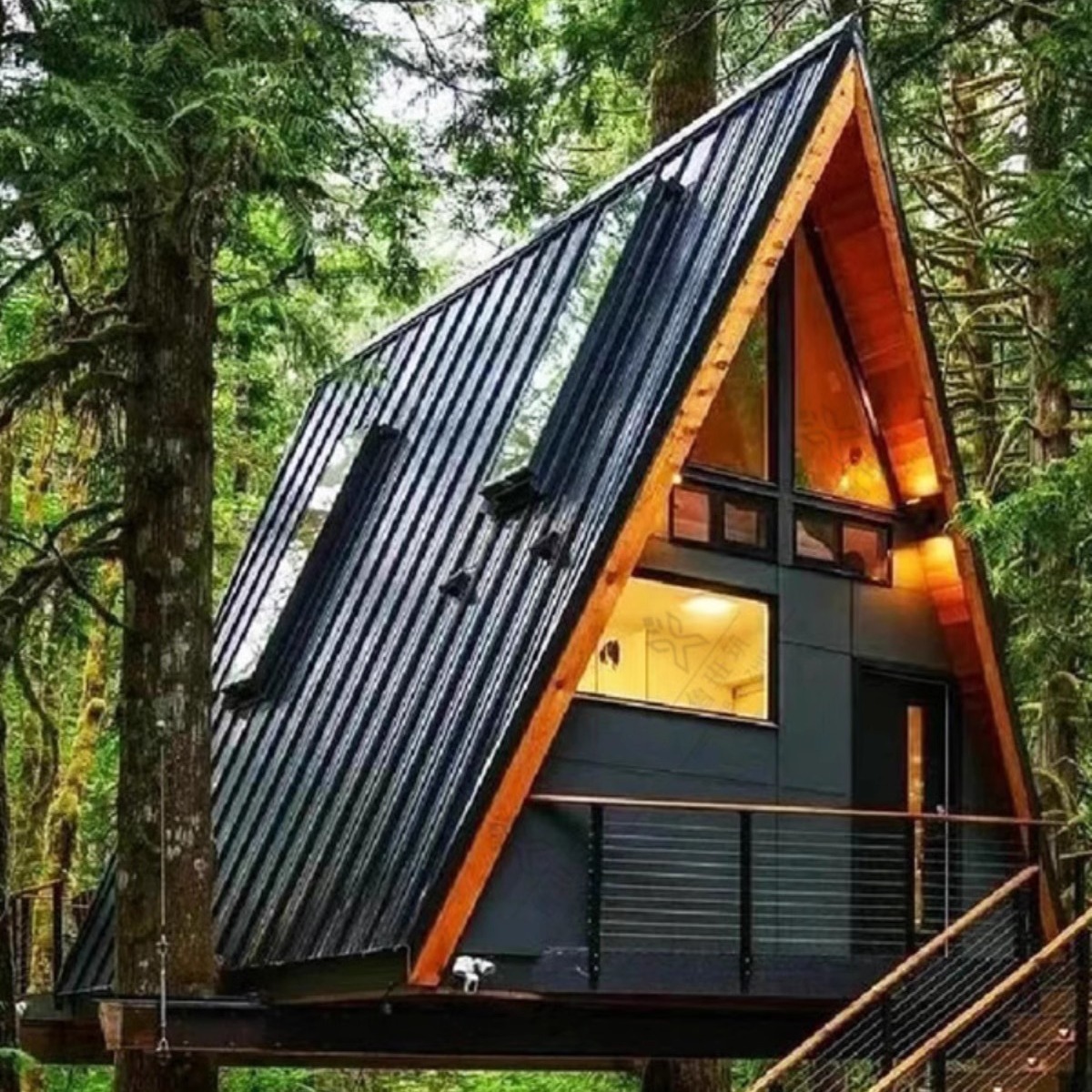 2024-09-03 11:39:08.jpg