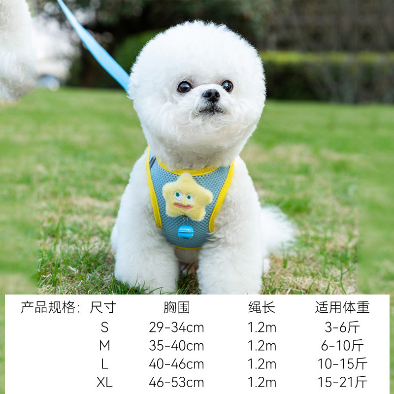 Campana estrella azul