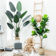 ����Gֲ�͏d����ֲ�ﱱ�W�Ҿ��b�ɢβ���������˽����Է����