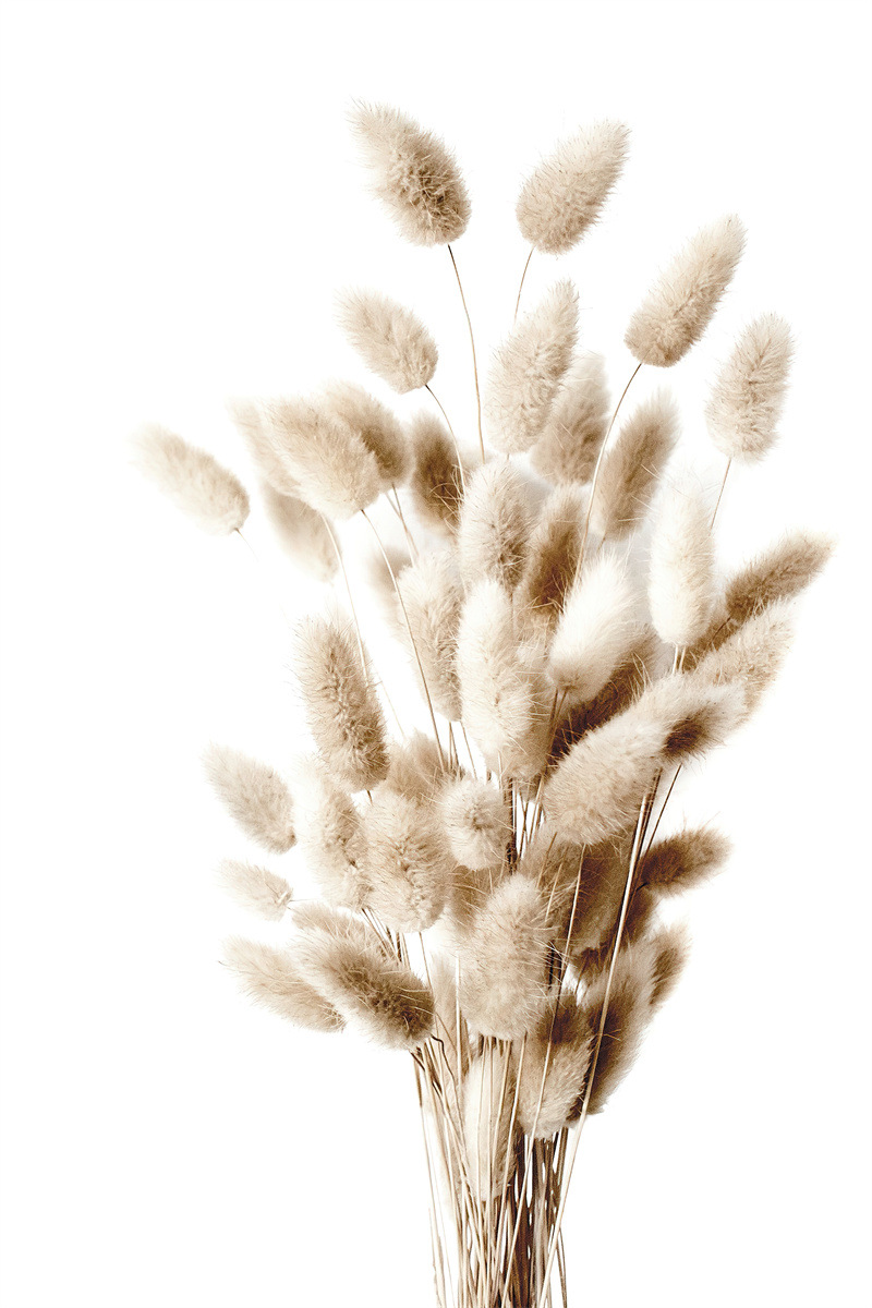 D 페인팅 코어 (프레임 제외)