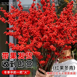 盆栽;其他园林资材;栽培基质