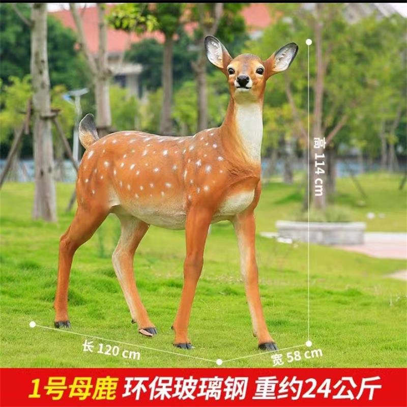 详情图