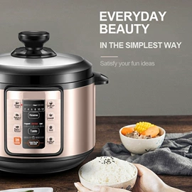 家用电炸锅;电火锅;电炖锅