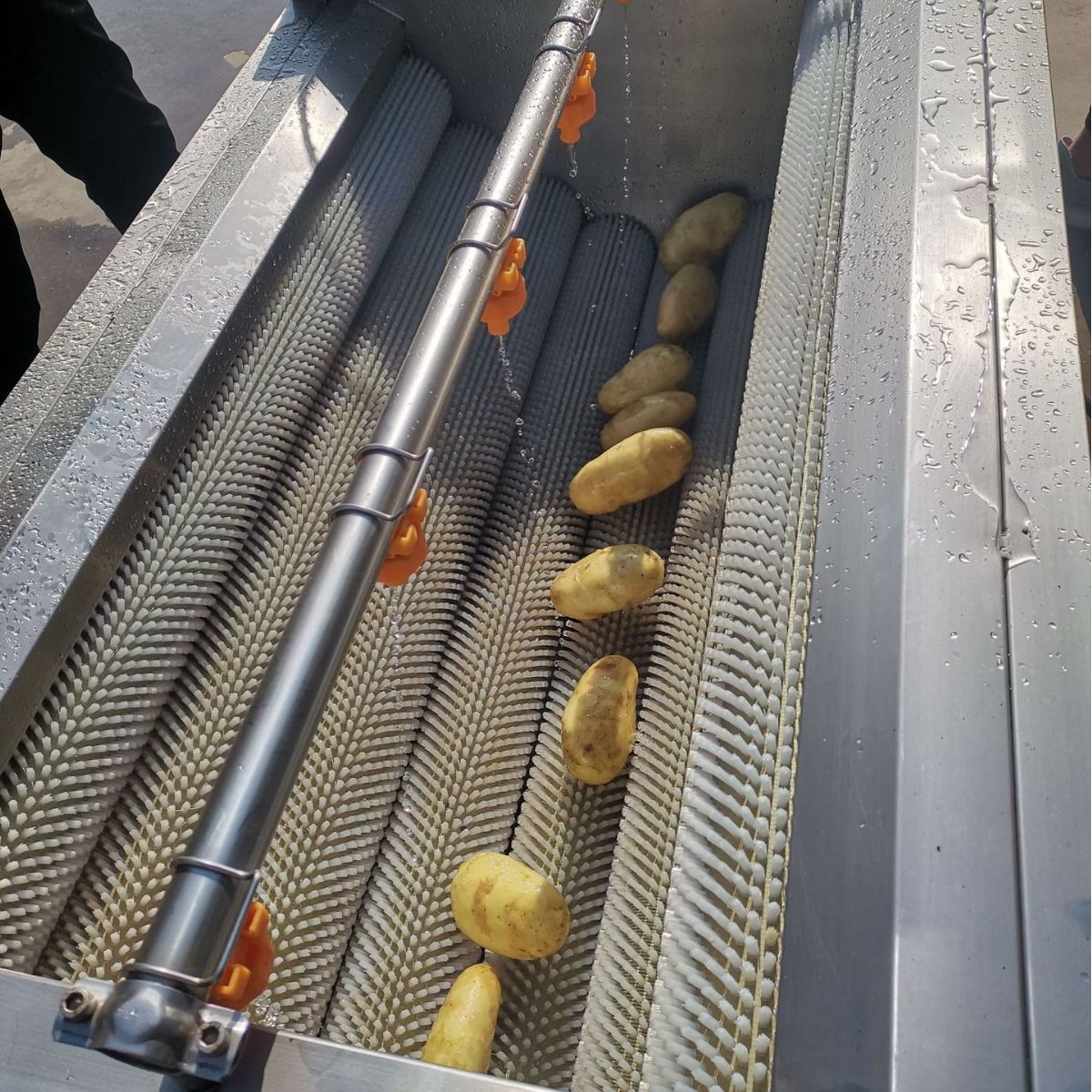 Máquina de limpieza y peeling de papas, raíz de loto, riz rojo, jengibre, herradura de caballo, cepillo de peeling de la máquina de limpieza de fábrica directa