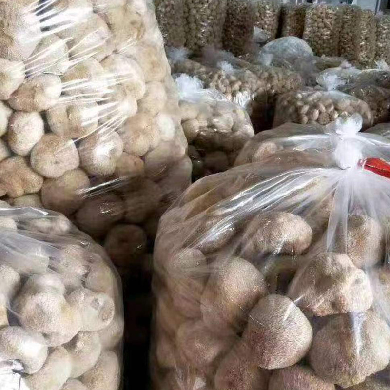 Hericium base wholesale various specifications dried Hericium edible fungus dried products 500g