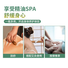 南京同仁堂艾草生薑精油500ml美容院身體按摩活絡身體玫瑰精油