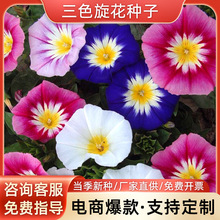 ɫN ݱֲݻͺ׻ͥԺ̨ԻN