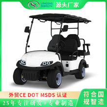 朗晴电动高尔夫球车右舵电动球车广州电动车球车源头商家出口球车
