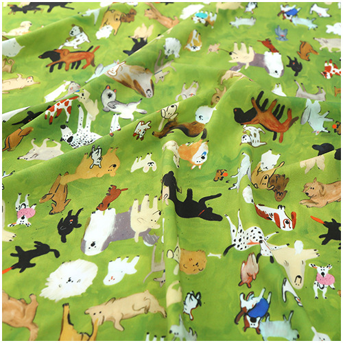 Colección para perros
