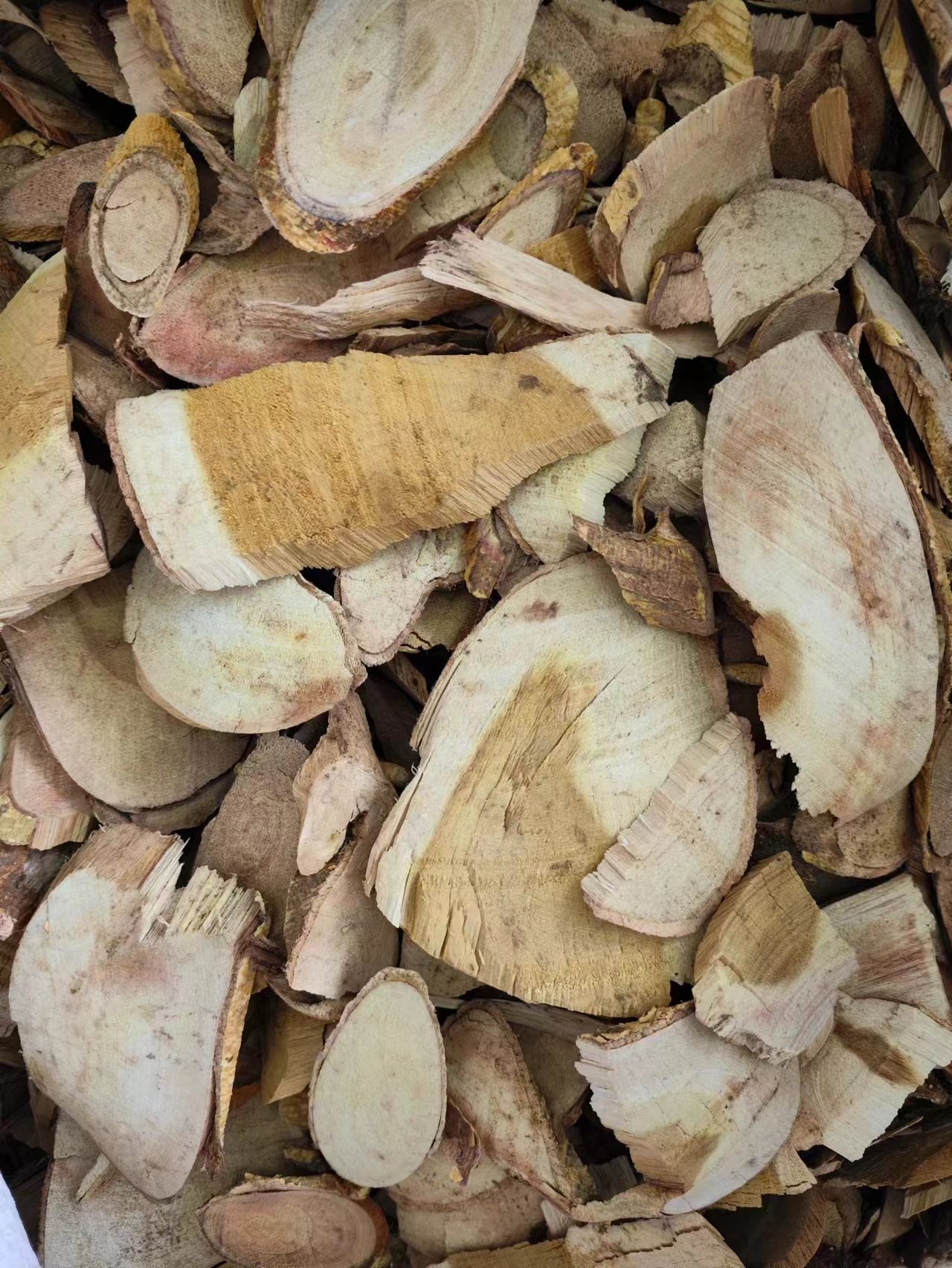 Chuan Po Shi Root (Cudrania cochinchinensis) — Dried TCM Herb, Powder Available quality and texture