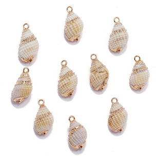 Electroplated Gold-Edged Small Textured Conch, Edged Fat Conch Bracelet, Necklace, Pendant, Jewelry Accessories, Amazon DIY