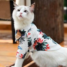 猫咪衣服网红夏季薄款衬衫沙滩风防掉毛英短蓝猫无毛猫穿夏天服饰