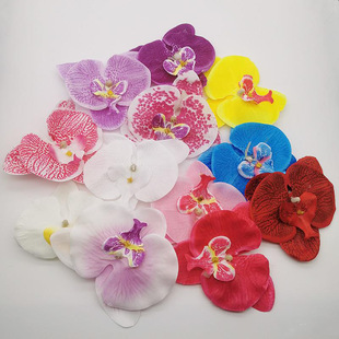 ��������m���^�^�z������c�b�̖������DIY�^ٻ����l