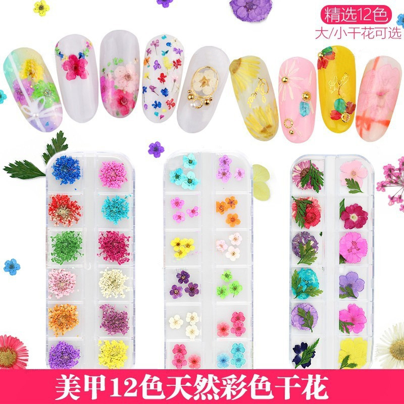 12 color three-dimensional nail art dried flowers long box size dried flowers 24 multi-size nail nail jewelry wholesale