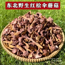 东北野生红蘑菇松树伞蘑菇丁干货松蘑鸡血蘑肉蘑菌菇煲汤特产礼盒