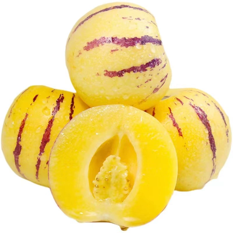 Ягоды женьшеня из Юньнани, собранные свежими в сезонном саду, доступны для прямой доставки в Россию.