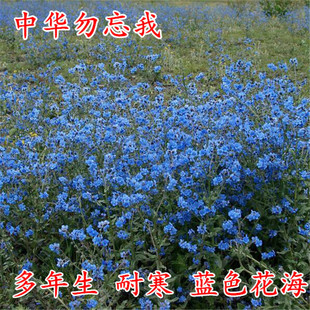 ���羳��؛�������ҷN���׷N�ļ����ݻ�������ͥԺ�҃����ļ��_��