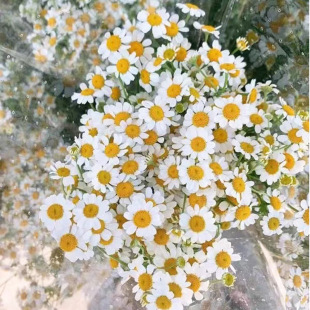 �r����ʾ����l����r��С�r��ֱ����c���ù��������û��r���滨