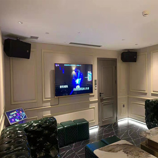 KTV active speaker projector audio connection TV theater level home living room surround speaker karaoke