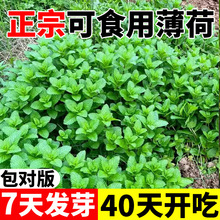 ���ɷN�ӿ�ʳ�ñ��ə�����ˮ���m��N���ļ��Nֲ�̨ͥԺ���ԷN��