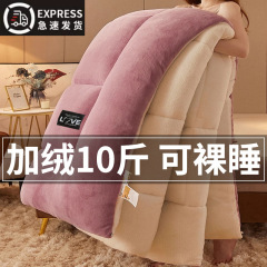 毛毯冬季加厚盖毯被秋冬珊瑚绒小被子学生宿舍午睡沙发牛奶绒毯子