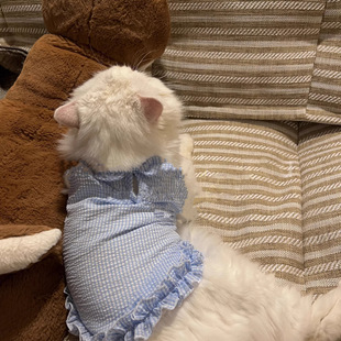 Pet Cat and Dog Clothes Summer Thin Breathable Anti-Shedding Ragdoll Cat Silver Gradient Kitten Vest Suspender Skirt