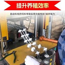 塞盘链条猪舍养殖料线链条自动上料设备塞盘料线配件输送链条定制