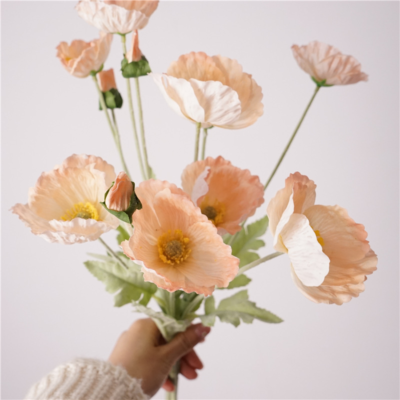 Moisturizing poppy-champagne color