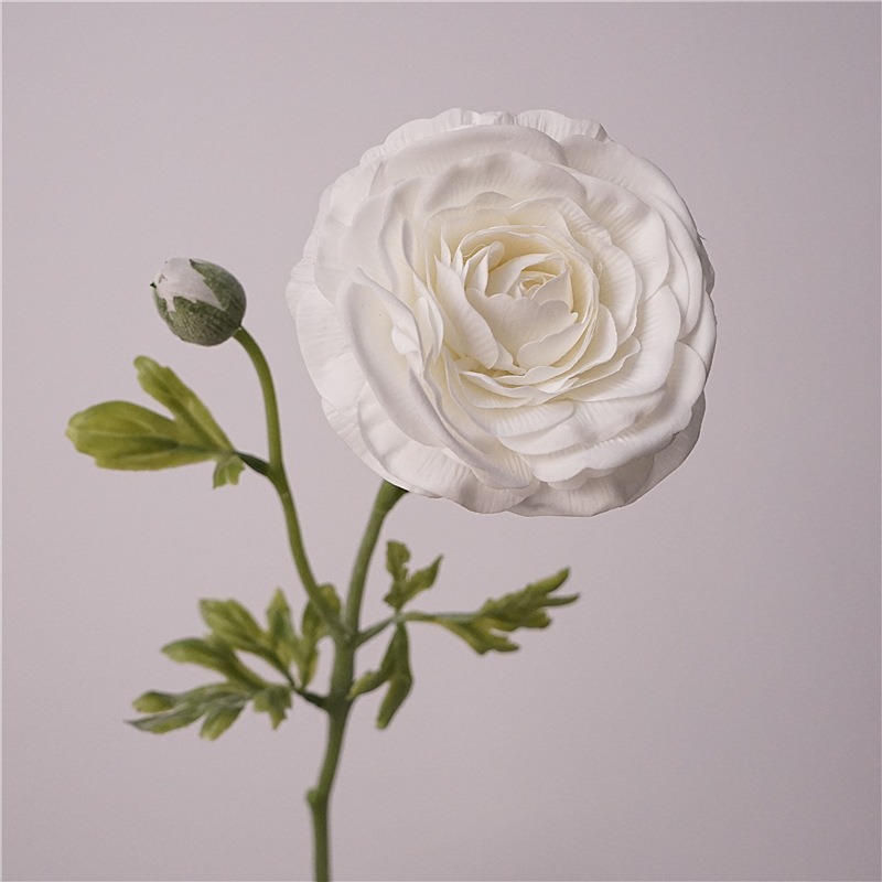 Hand-feeling 2-head lotus-white
