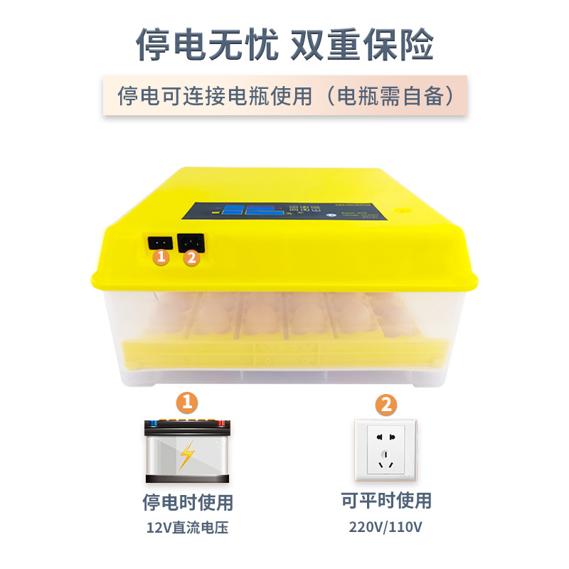 36 unidades inteligente incubadora de temperatura constante pollo pato codorniz pájaro huevo pequeño hogar incubadora mini incubadora automática