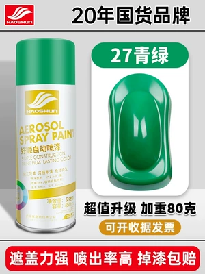 Avtomobil boyası – Matte Hand-Shaken Spray Paint Can - turquoise-450mlbottle