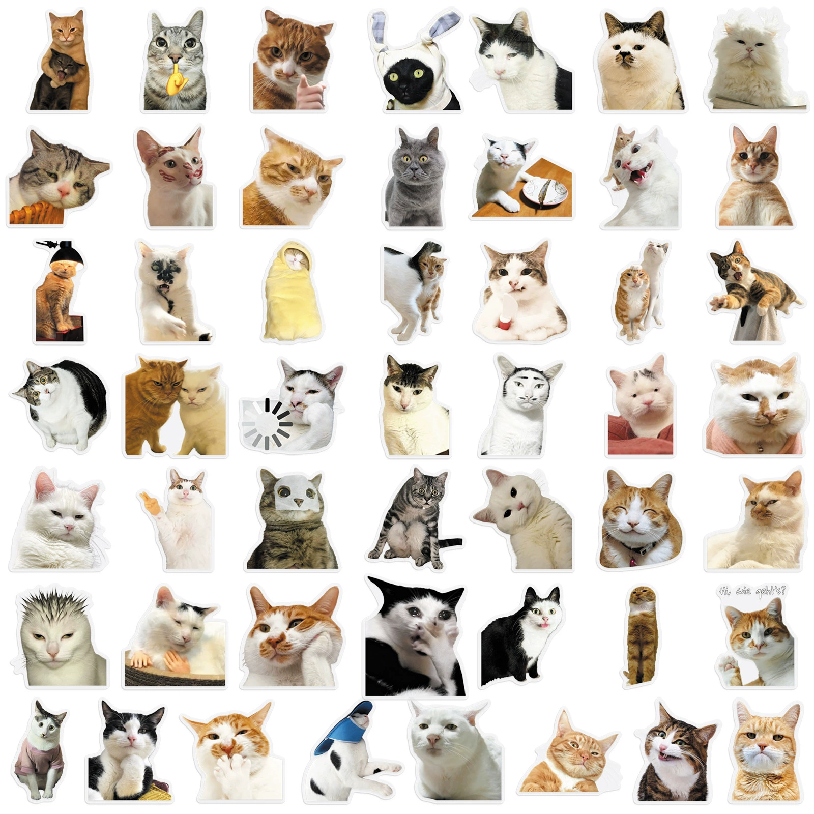 50 pieces of Hakimi animal PET transparent stickers realistic and creative cat expression bag storage box Guka DIY stickers