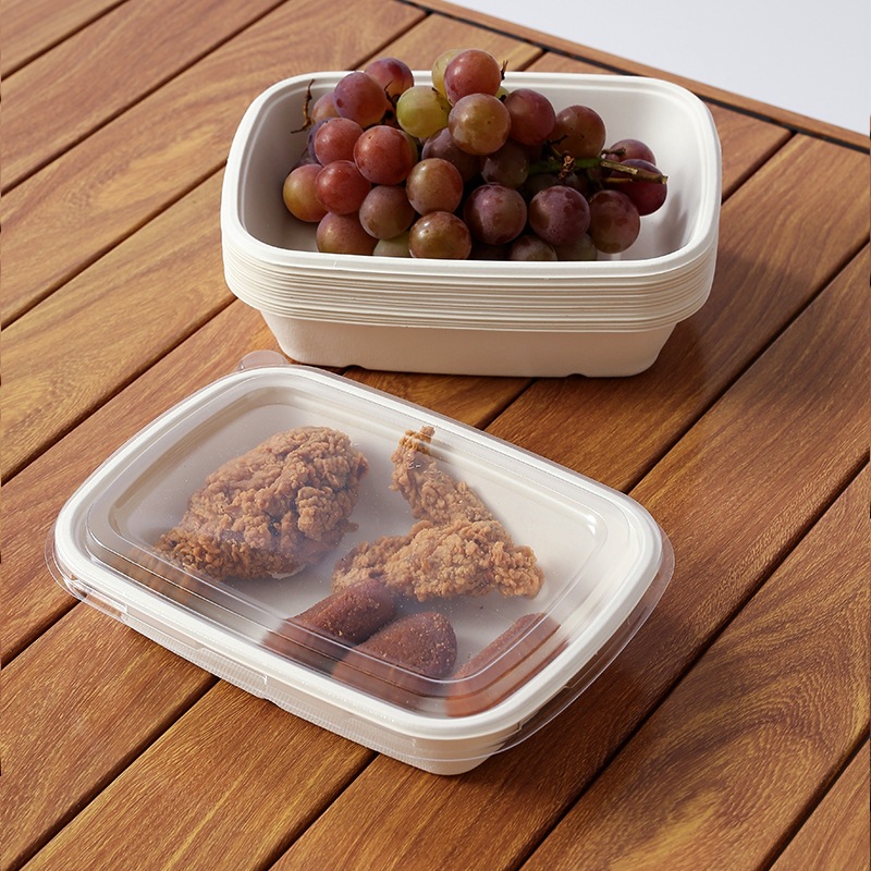 Pulpa de caña de azúcar degradable desechable ensalada de frutas ligera para llevar lonchera de picnic rectangular
