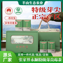 200ˏҽؼѿҰݮݮݮٲһl