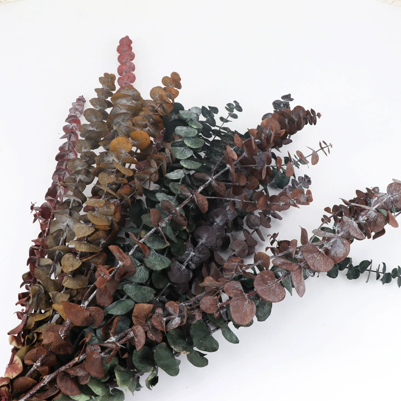 Eternal Life Eugali Leaf Dried Flower Material Eucalyptus Copper Copper Net Red Home Decoration Material Eugar Leaf