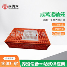 ���u�\ݔ�\ �u���\ݔ���� 픲����w�T ���T�ɴ��_ �u���\��