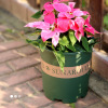 Plastic extra large big round flowerpot, new collection, increased thickness