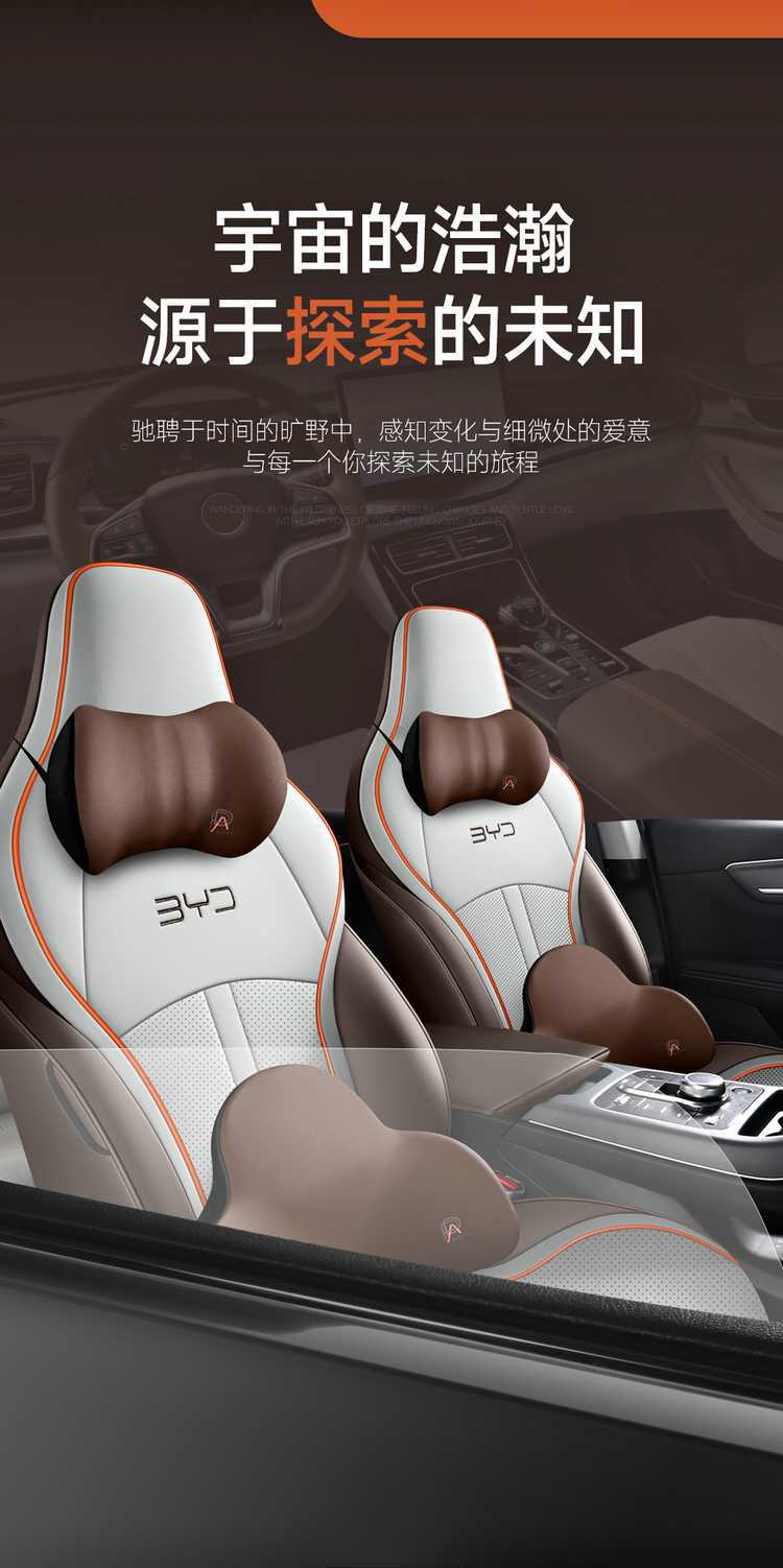 Special Byd Destroyer 05 Seat Cover 2024 Honor Edition 25 Four Seasons All-Inclusive Car Seat Cushion 23 Seat Cover
