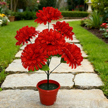 �x�������������������뻨���滨�ջ�7�^�Č��p�ӗU�����շ��滨