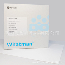 Whatman 1 �� Chr �w�S�،����� whatman1̖�w�S�،������Dӡ��