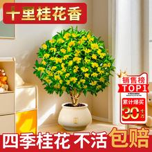 �𻨴����ֲ���𵤹�Gֲ�辰ͥԺ�����҃��ļ���͏d��������