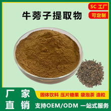 牛蒡子提取物 牛蒡子粉 水溶性 牛蒡提取物 慈缘生物 厂家直销